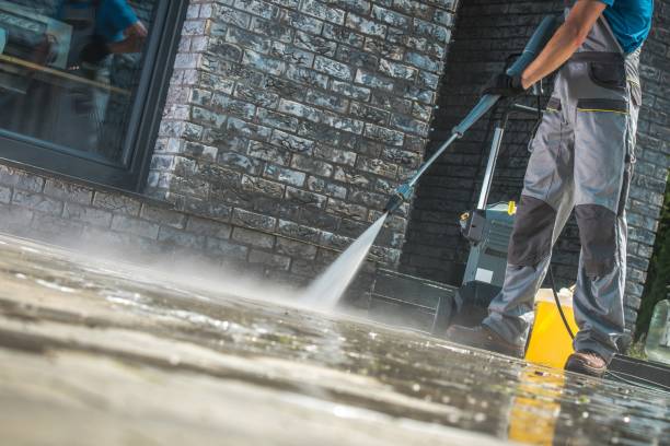 Best Spring Cleaning  in Petaluma, CA