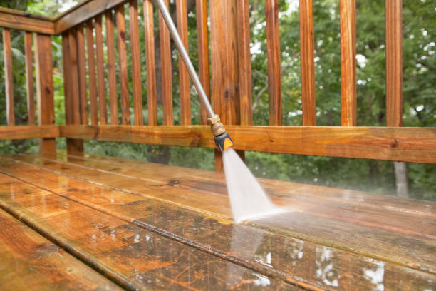 Best Animal Enclosure Cleaning  in Petaluma, CA